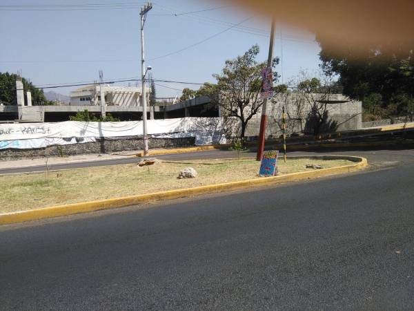 Morelos,Plaza Comercial,1226,venta casas,piscina,bienes raices,inmobiliaria